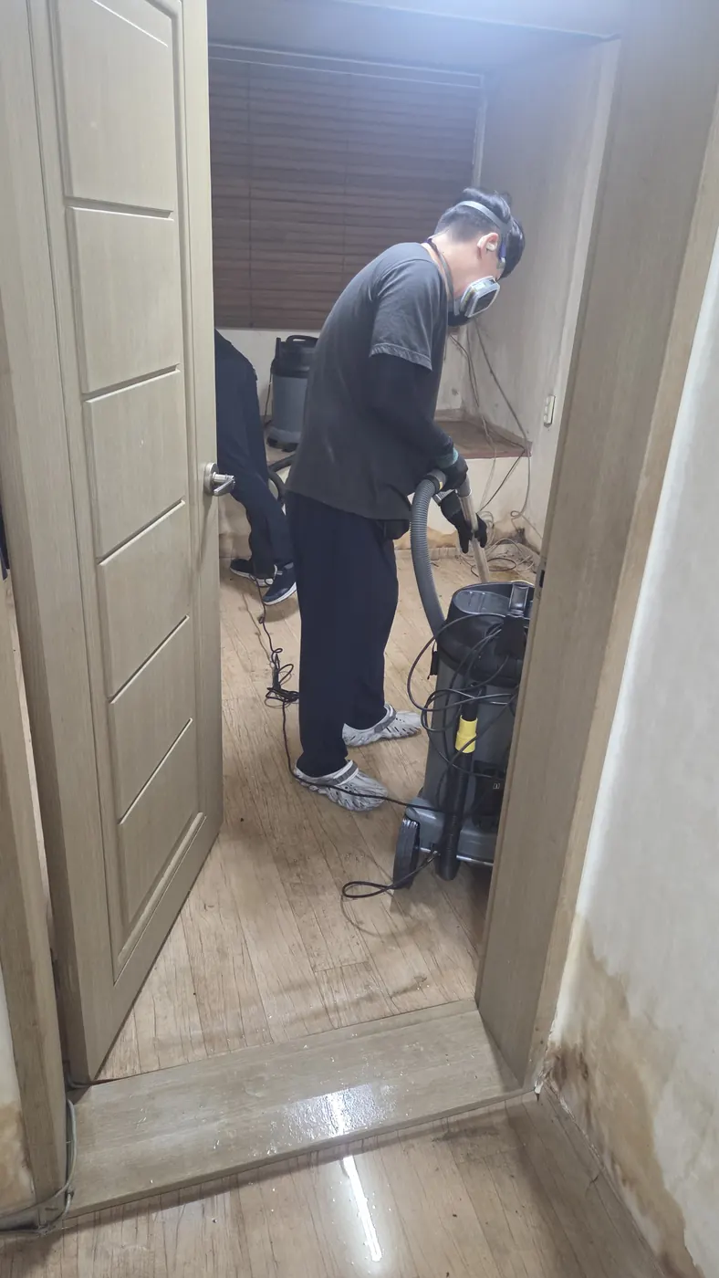오염 제거 — 서울특별시 침수청소 현장