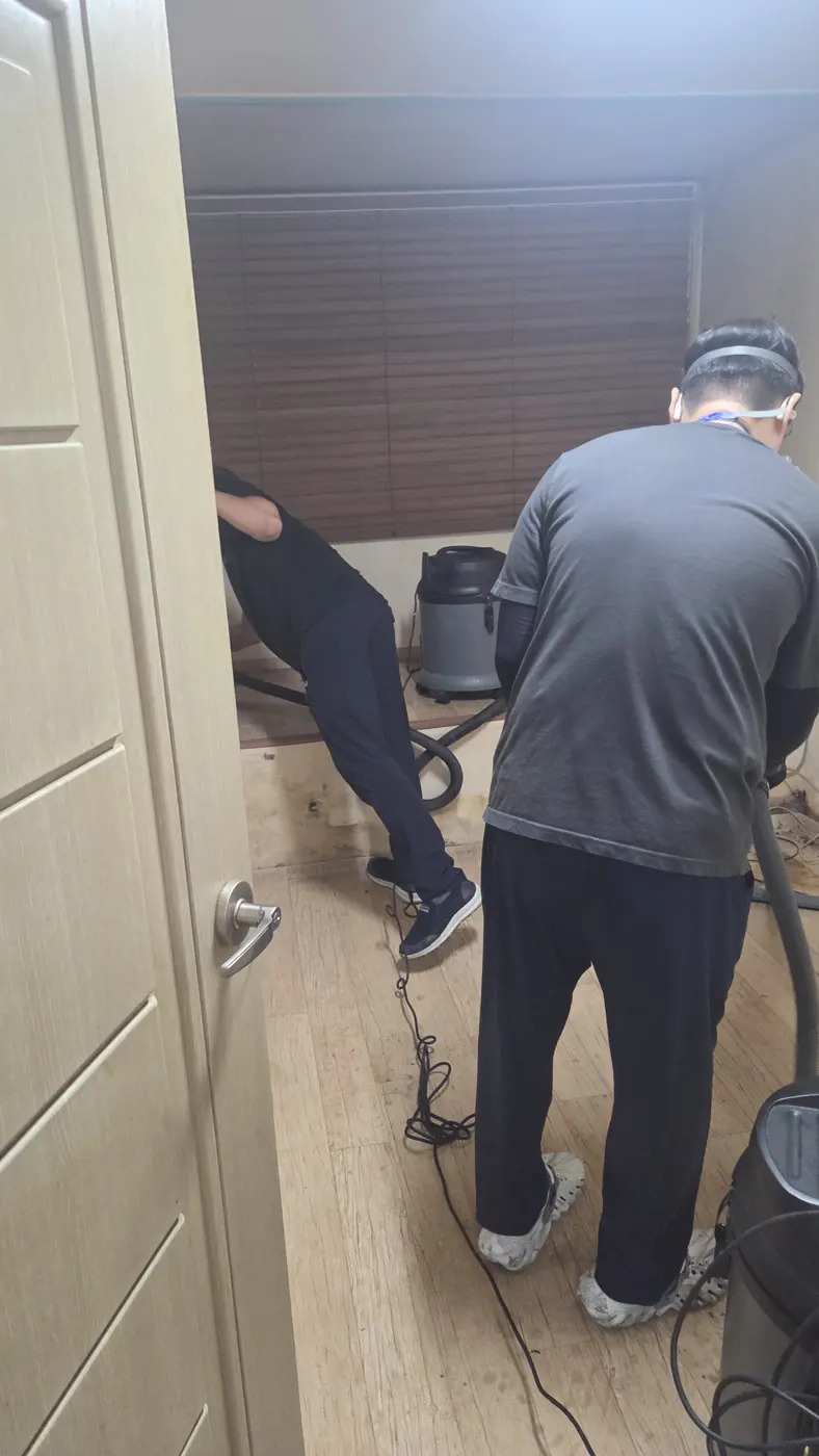 오염 제거 — 노원구 침수청소 현장