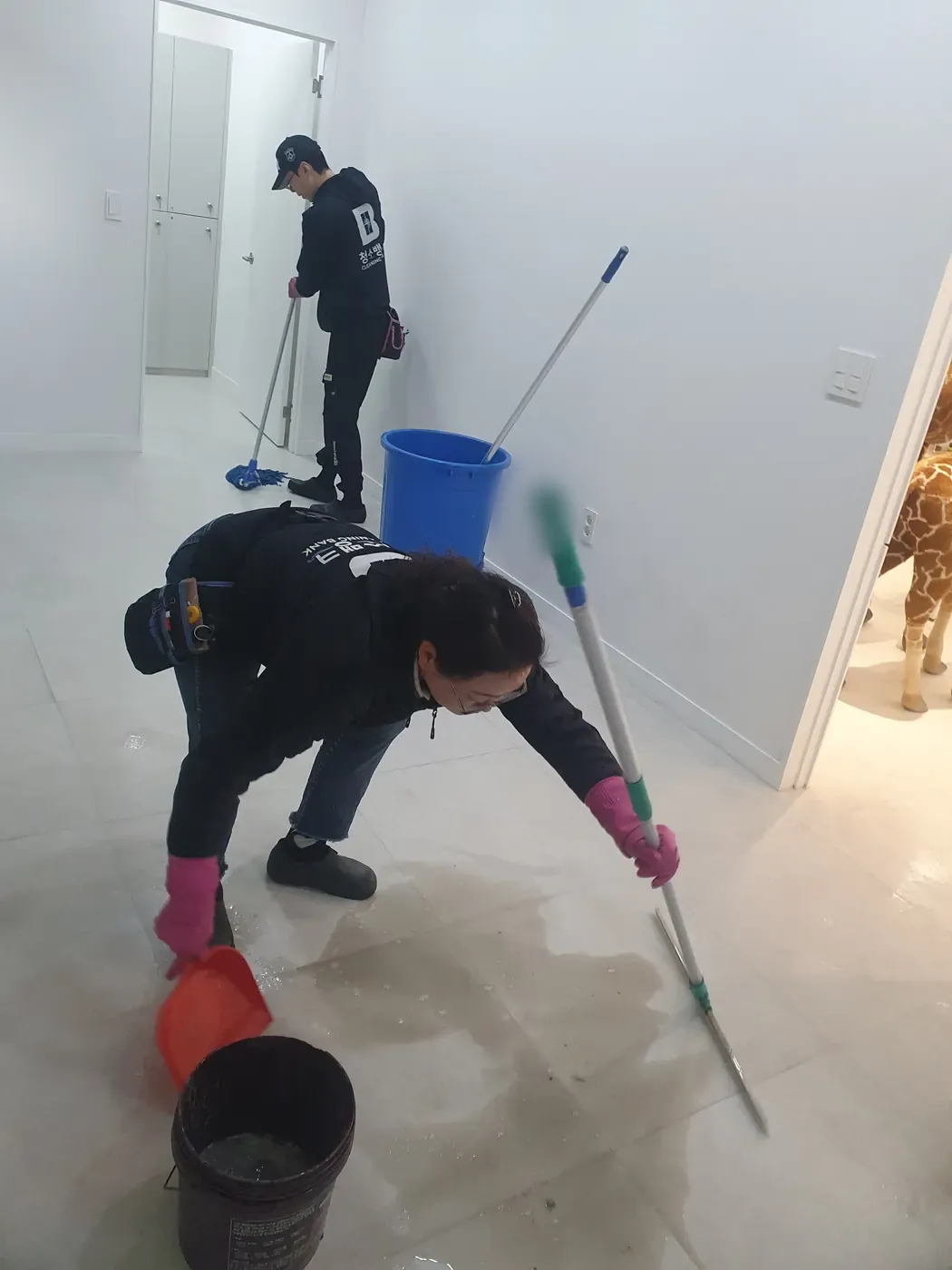 세정 진행 — 도봉구 병원청소 현장
