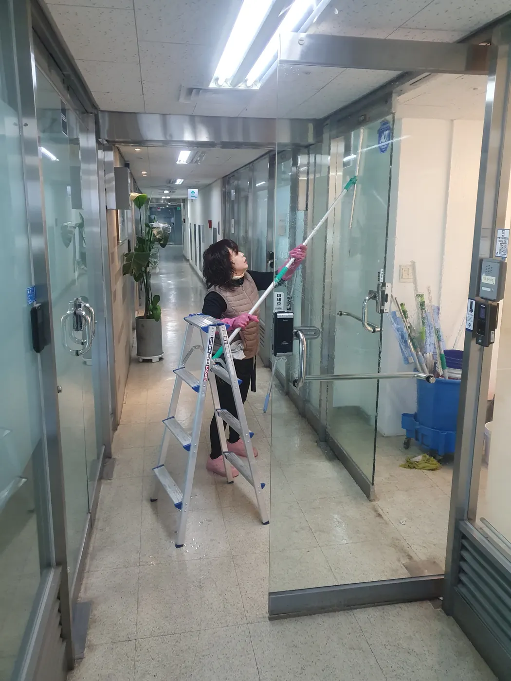 전면 유리 세정 — 금천구 사무실청소 현장
