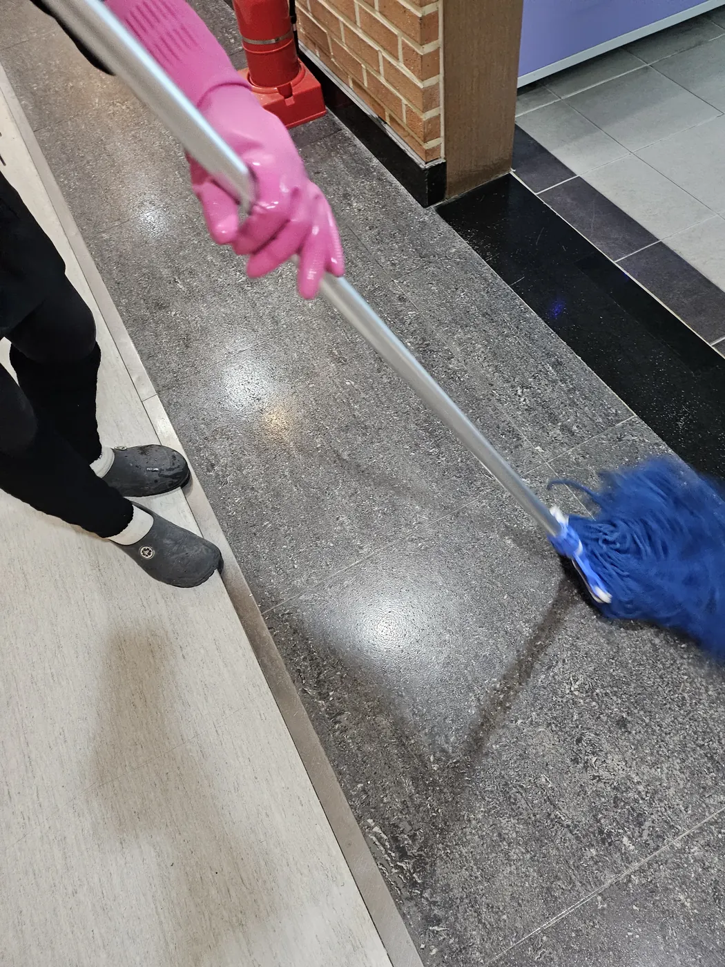 세정 진행 — 노원구 학교청소 현장